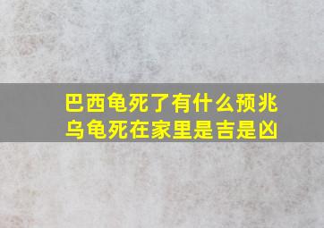 巴西龟死了有什么预兆 乌龟死在家里是吉是凶